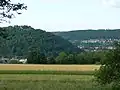 Stadt Nagold – Panorama