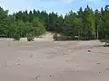 Die Erhebung Kunilamägi