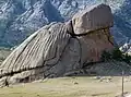 Turtle Rock