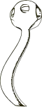 Rekonstruktion von Namacalathus