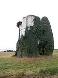 Ruine einer Mühle