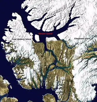 Satellitenfoto der Axel-Heiberg-Insel mit dem Nansensund