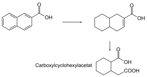 Abbau von Naphthoesäure