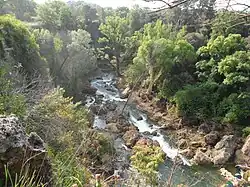 Der Fluss Nartuby