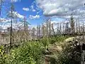 Waldbrandschäden am Aufstieg durch die Richterschlüchte