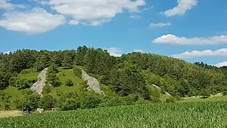 Steinriegel Dittwar Burghelle