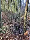 Reichsmarksiepen