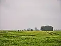 Felder beim Langen Moor