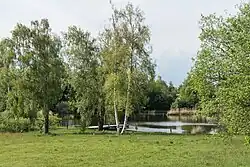 Märwiler Riet
