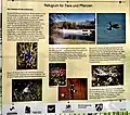 Info Naturschutzgebiet Panzertalsperre