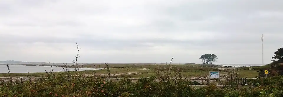 Naturschutzgebiet Schleimünde hinter der Paddelwiese