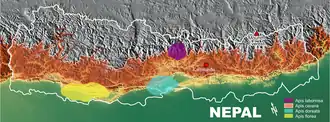 Verbreitung von Apis cerana in Nepal (rote Fläche)