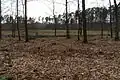 Kesselmoor im Oldenburger Holz bei Nepzin