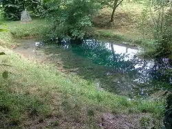 Der Nettesprung in Herrhausen am Harz