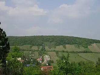 Der Neuberg, gesehen vom Sommerhaidenweg