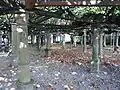 Lindenanlage von Neuenstadt am Kocher