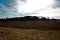 Blick Richtung Süden zur Kreisstraße