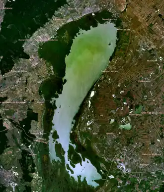 Der Neusiedler See ist ein europäischer Sodasee