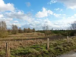 Die Rheinaue