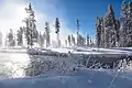 Nez Perce Creek im Winter