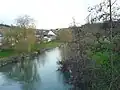Die Nied bei Niedaltdorf