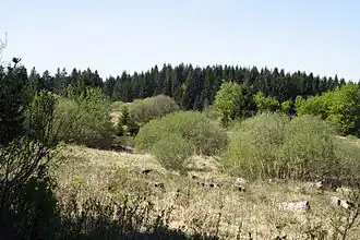 Neuer Hagen