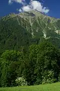 Niesen (Berg)
