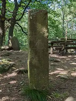 Nivaustein auf dem Nollenkopf