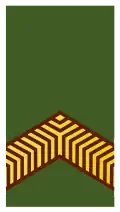 Niederlande Niederlande Korporaal, OR-4, Heer