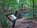 Bodendenkmal Nordkanal in Louisenburg bei Herongen