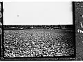 Innamincka (1905)