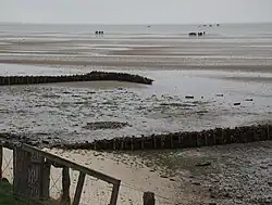 Buhnen im Wattenmeer
