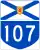 H107