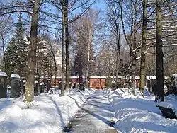 Friedhof im Winter