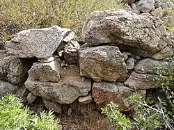 Anbau