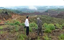 Präsident Joko Widodo und der Gouverneur von Kalimantan Isran Noor besichtigen das Gelände der zukünftigen Hauptstadt (Dezember 2019).