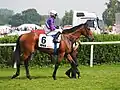 mit Jockey Andrasch Starke vor dem Start