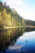 Nuuksio im Herbst