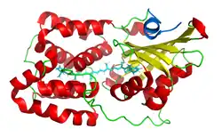 Orange Carotinoid Protein