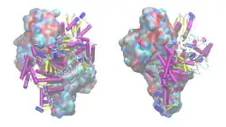 α-Ketoglutarat-Dehydrogenase E1