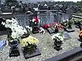 Official IRA/Workers’ Party Plot