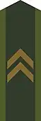 Schweden Schweden Korpral, OR-4, Heer