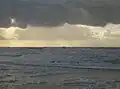 Der Offshore-Windpark Egmond aan Zee von der Küste betrachtet