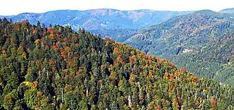 Blick über das Tal der Wilden Gutach auf die Obereck