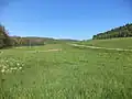 Im oberen Kahlgrund bei Kleinkahl