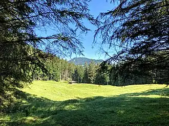 Almgelände mit Almhütte der Oberhofener Weißachalm