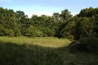 Wachtberggipfel