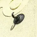 desgl. im Detail, 2012