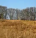 Feld in Ortsnähe