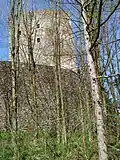 Burgruine Lobenstein